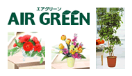 AIR GREEN